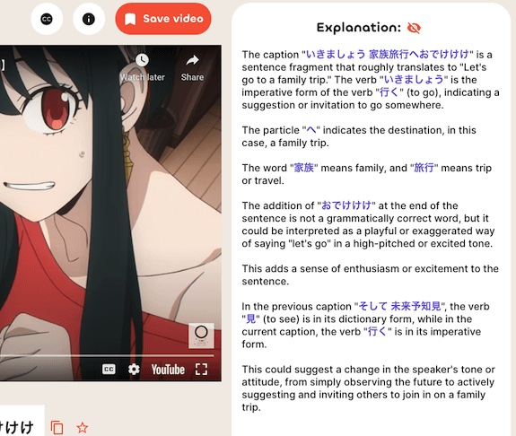 hayailearn AI explanation screenshot