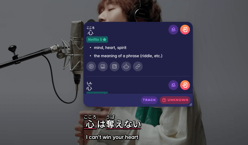 migaku popup dictionary screenshot