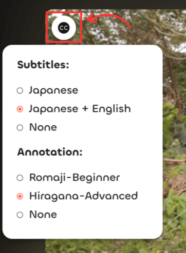 HayaiLearn Tools: choose captions